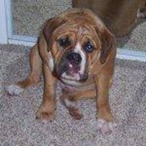 Meet your Posher, Tracy